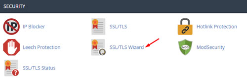 cPanel Security Section
